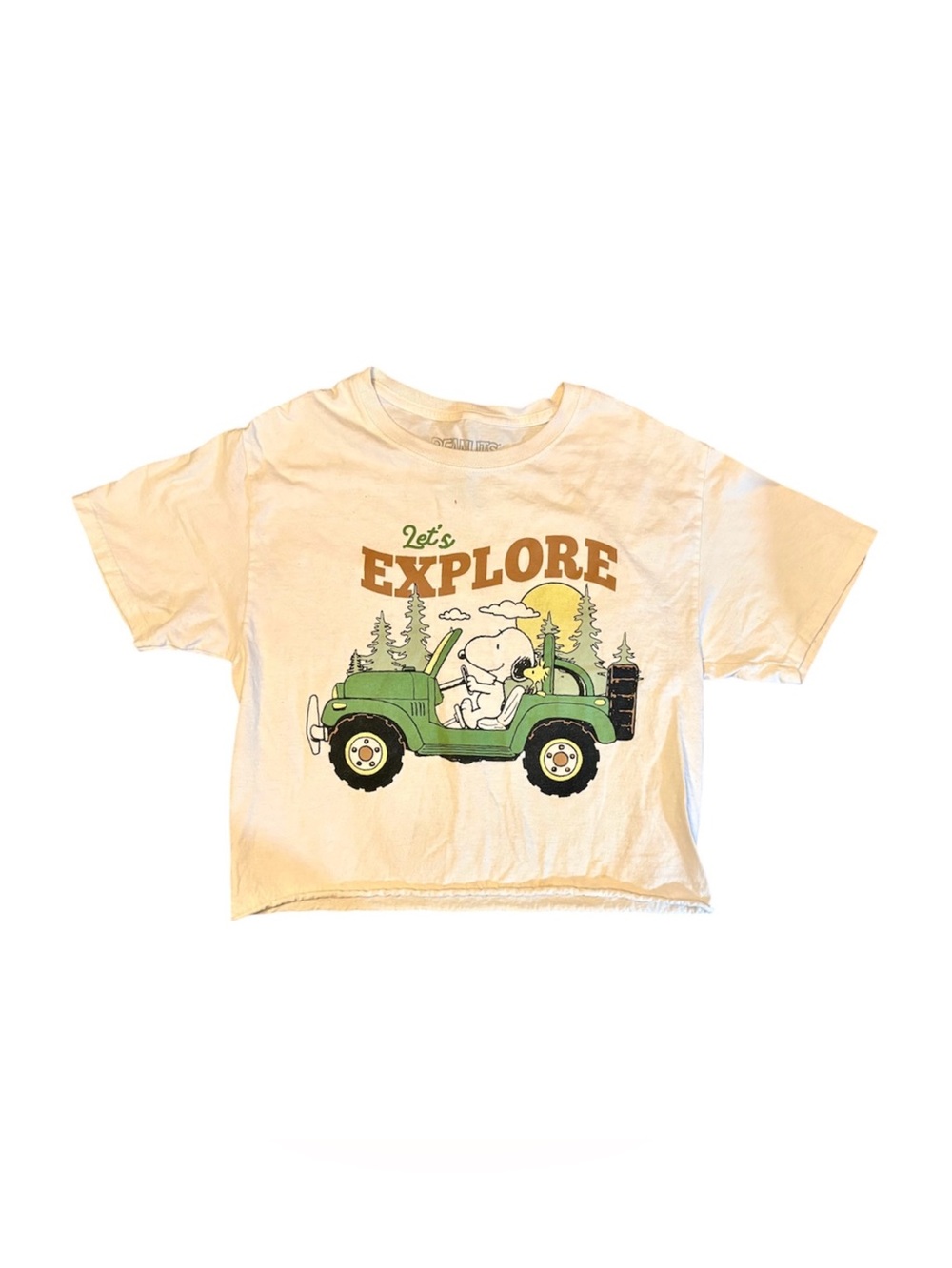 Peanuts Vintage-Style Graphic Women’s Crop Top- Cream, Green & Brown